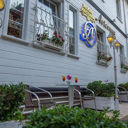 Avicenna Sultanahmet Hotel 3*