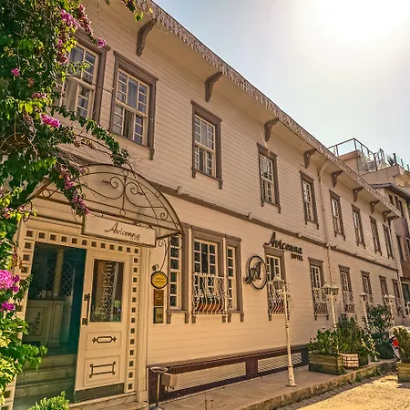 阿维森纳酒店 4*