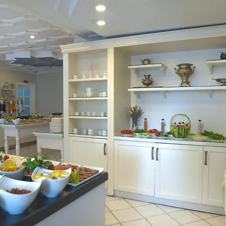 Avicenna Sultanahmet İstanbul