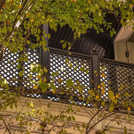 Avicenna Sultanahmet イスタンブール