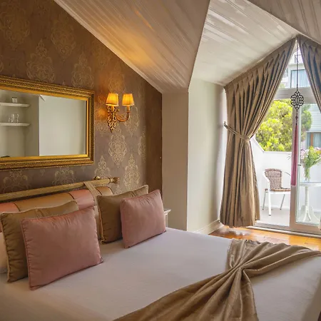 فندق Avicenna Sultanahmet 3*