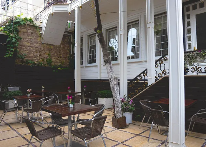 Avicenna 3* Provincia di Istanbul