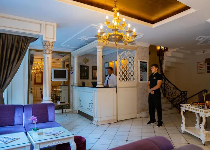 Avicenna 3* Provincia di Istanbul