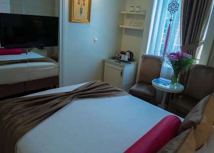 Avicenna 3* Provincia di Istanbul