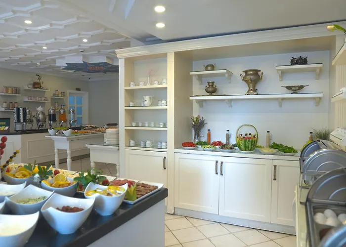 Avicenna Provincia di Istanbul